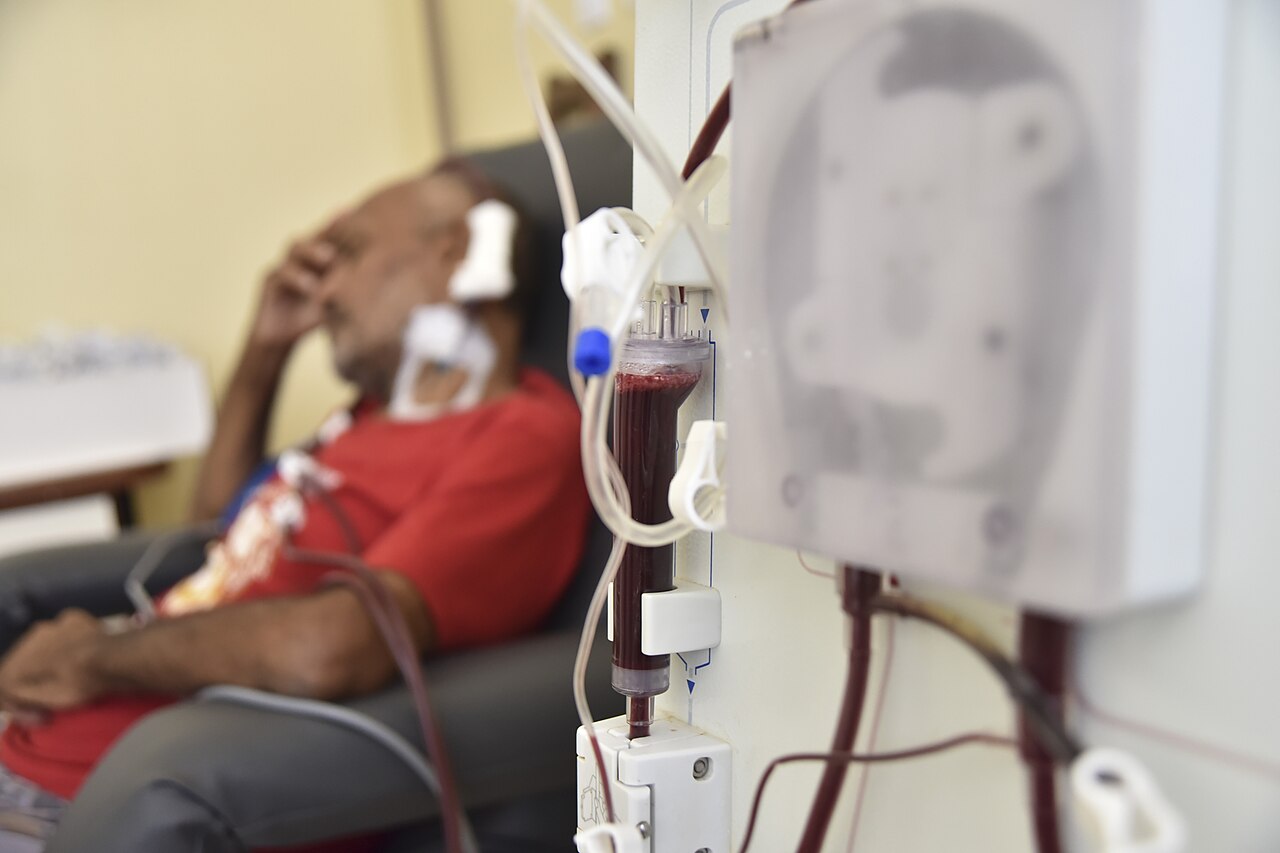 Anvisa suspende propaganda de suplementos Glifit e Glicofit por alegações enganosas